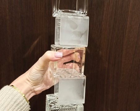 Победитель телепроекта Башня